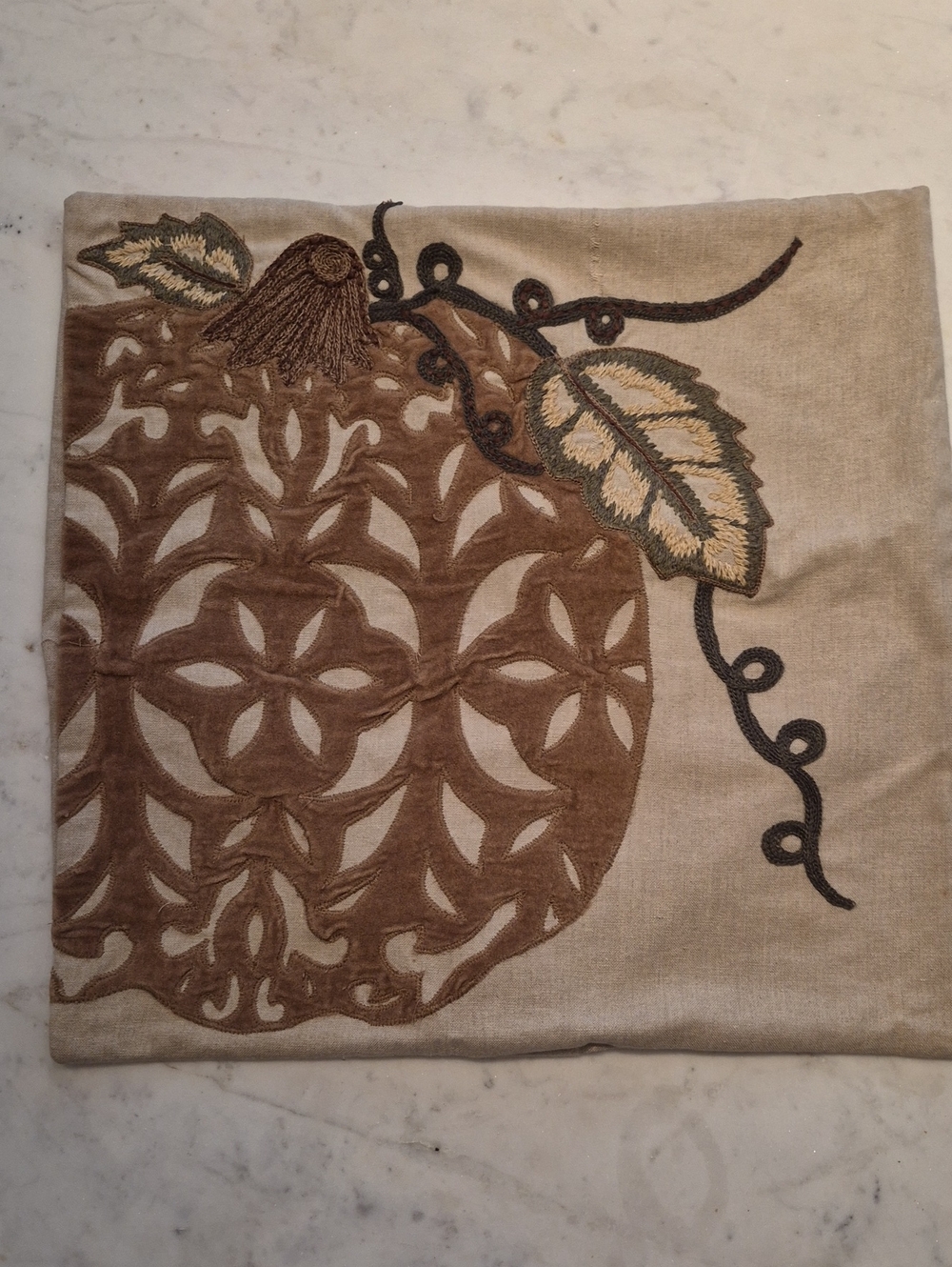 Embroidered Decorative Pillow Cover in Beige and Brown